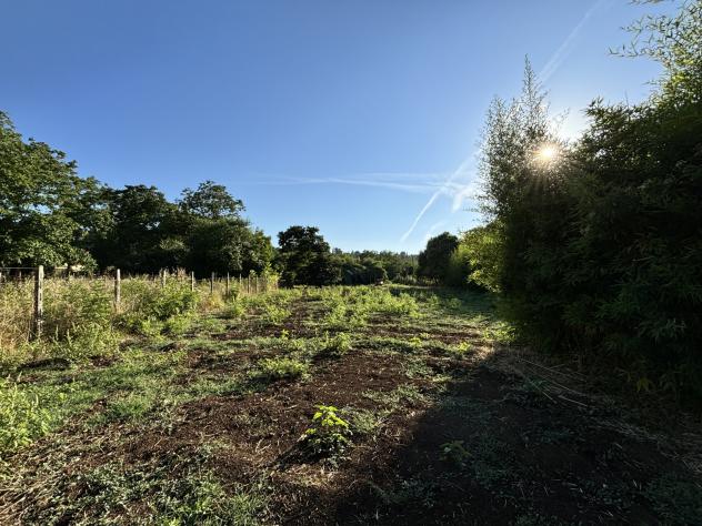 Agricolo in Via Val Pantano Prima - Foto 10