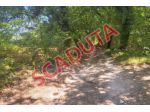 Immobile in asta di 222 m² in vendita a Monte Castello di Vibio