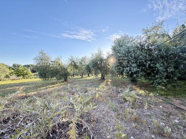 Magazzino in vendita a Rosignano Marittimo - Foto 14