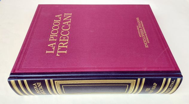La Piccola Treccani VII MAF-NAP Dizionario enciclopedico Ed.Treccani, Roma 1995 - Foto 2