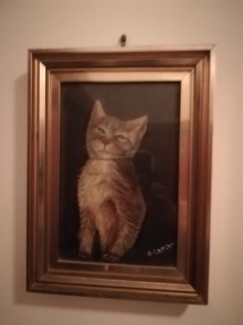 cercasi colf - Foto 2
