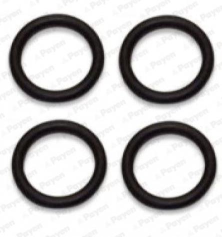 Payen Kit 4 Pz Guarnizioni Collettore Aspirazione Ha5031