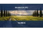 Immobile in asta di 17370 m² in vendita a Balmuccia