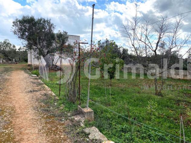 Terreno edificabile in vendita a Sannicola - Foto 9