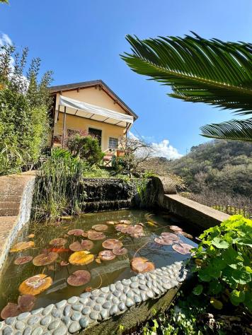 Terratetto in vendita a Monteggiori - Camaiore 88 mq Rif: 1400263 - Foto 6