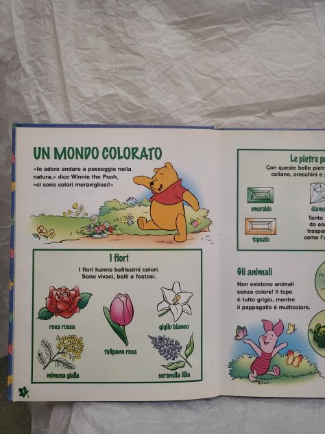 Alla Scoperta dei Colori - Foto 2