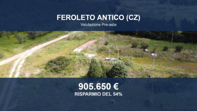 Immobile in asta di 79900 m² in vendita a Feroleto Antico