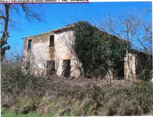 Immobile in asta di 70 m², box auto in vendita a Civitella d'Agliano - Foto 6