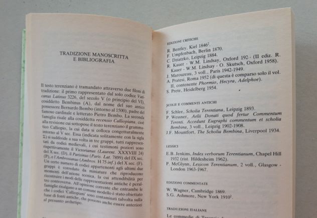 TERENZIO - I fratelli - Foto 6