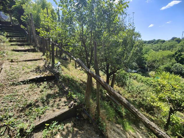Agricolo in Via Guglielmo Oberdan - Foto 2