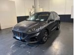 Ford Kuga Kuga 2.0 EcoBlue 120 CV aut. 2WD ST-Line Business