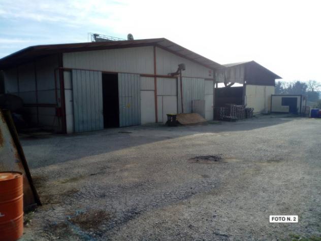 Immobile in asta di 11410 m² con più di 5 locali in vendita a Amelia - Foto 2