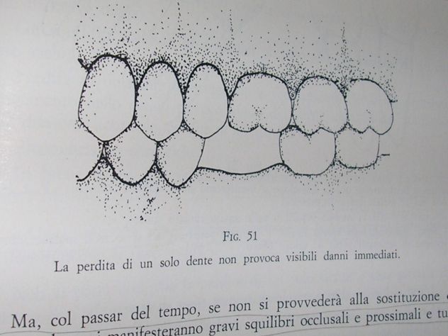 BIOMECCANICA MASTICATORIA - Foto 8