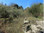 Terreno in vendita a Mascali, Montargano