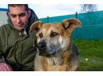 THEO, 7 ANNI, IL SUO PROPRIETARIO HA UNA BRUTTA MALATTIA E LUI CERCA CASA!!