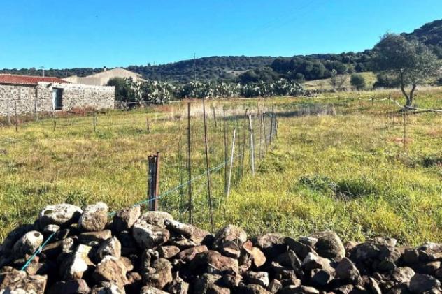 Immobile in asta di 13 m² in vendita a Cabras - Foto 9