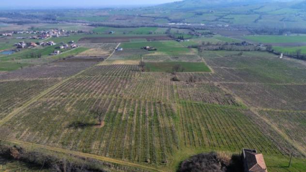 Terreno di 400000 m² in vendita a Piacenza
