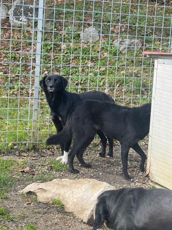 Gianni e Pinotto - Foto 4