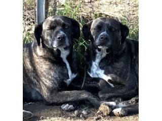 Gemma e Giada sorelline vivaci e allegrotte