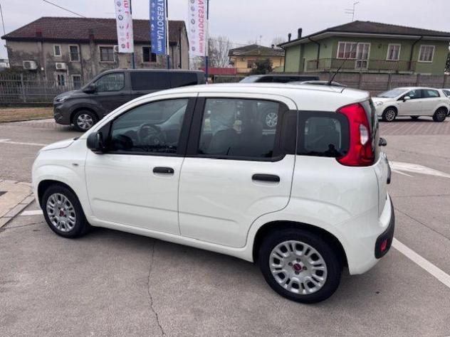 FIAT Panda 1.0 FireFly S&S Hybrid rif. 23474707 - Foto 2