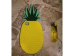 Cover ANANAS
