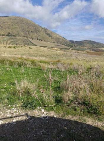 Immobile in asta di 155290 m² in vendita a Salemi - Foto 2