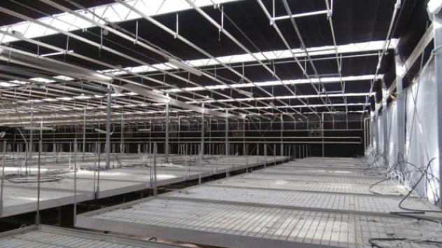 Immobile in asta di 5683 m² in vendita a Castenaso - Foto 7