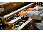 Organista Portovenere Lerici Bocca di Magra Cinque Terre La Spezia Musica Chiesa