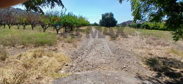 Terreno in vendita a Calatabiano - Foto 8