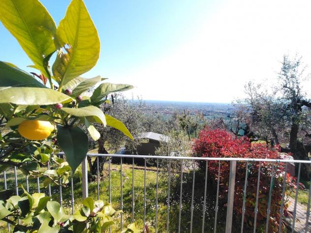 Casa singola in vendita a Massa e Cozzile 51 mq Rif: 1406839 - Foto 5