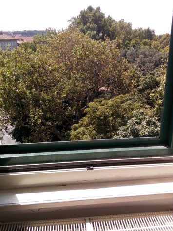 Da 1 Ottobre 2 Singole a 10 min a piedi da Università in Centro.- - Foto 5