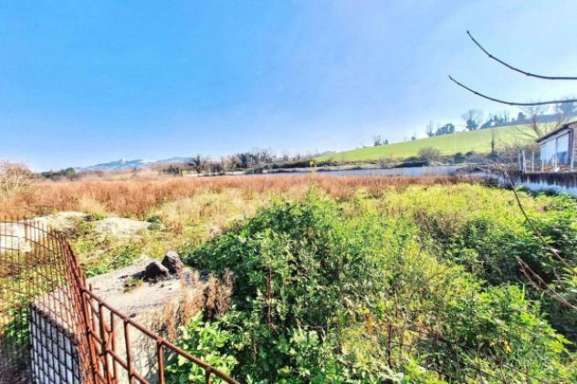 Immobile in asta di 13347 m² in vendita a Montelupone - Foto 4