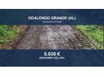 Immobile in asta di 21700 m² in vendita a Odalengo Grande