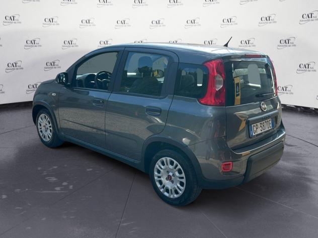 FIAT Panda Panda 1.0 firefly hybrid (prezzo reale) - Foto 8