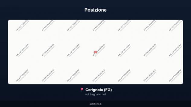 Immobile in asta di 78341 m² con più di 5 locali in vendita a Cerignola - Foto 13