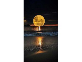 Massaggi - benessere Cuneo - Percorsi della Luna Tel:3385474458