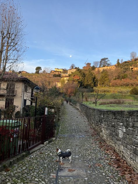 Affitto tre stanze