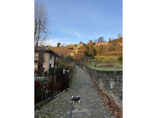 Affitto tre stanze