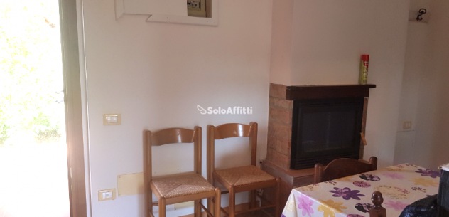 Trilocale in affitto a Rosignano Marittimo - Foto 6