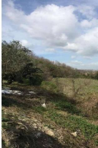 Immobile in asta di 22290 m² in vendita a Chianche - Foto 5