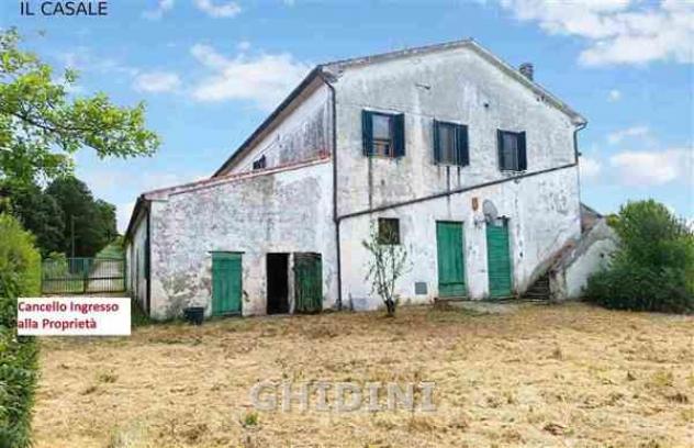 CASALE di 350 mq (CIVITELLA PAGANICO - PAGANICO) rif. 2570.300M - Foto 3