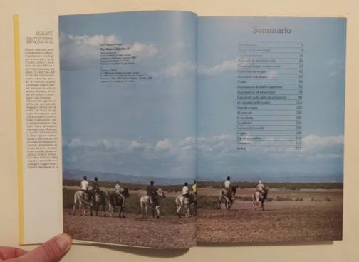 Manuale di equitazione di Sally Gordon Editore: De Agostini, 1987 perfetto - Foto 7