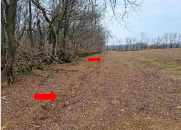 Immobile in asta di 59892 m² in vendita a Busto Arsizio - Foto 3