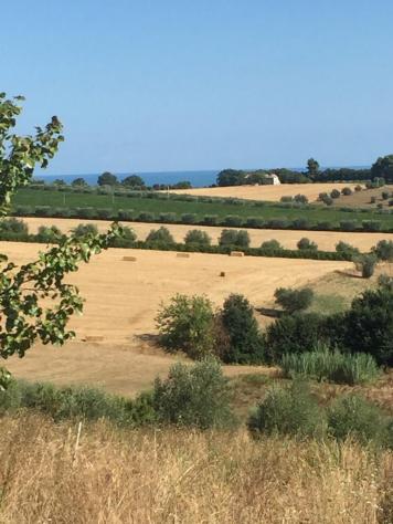Agricolo in vendita a Colonnella - Foto 6
