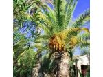 La Perla di Sicilia