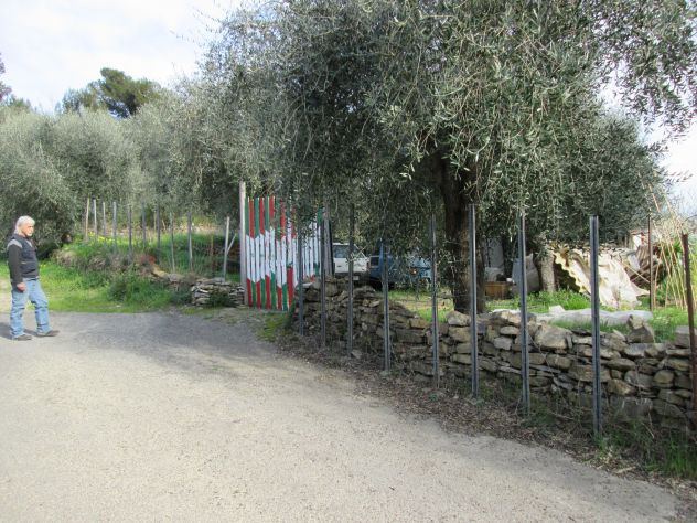 Terreno Edificabile San Bartolomeo frazione di Andora