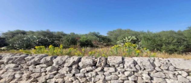 Immobile in asta di 584352 m² in vendita a Ispica - Foto 15