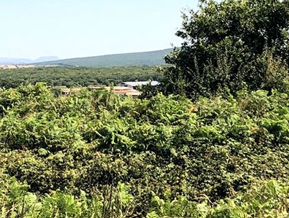 Terreno a Santu Lussurgiu - Foto 4