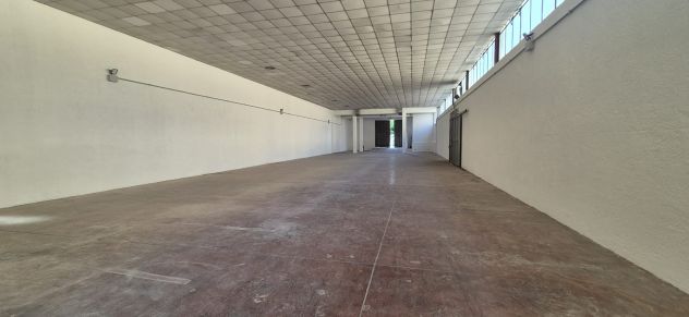 Capannone C1 zona Romanina Via Leopoldo Micucci - Foto 4