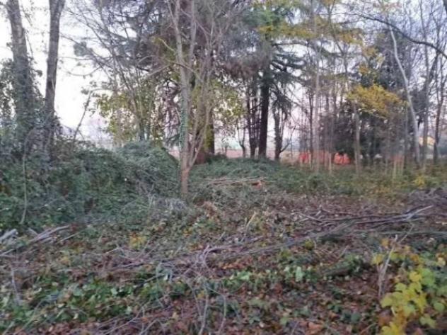 Immobile in asta di 9373 m² in vendita a Mogliano Veneto - Foto 11